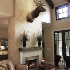 Beautiful wall color and feature wall plaster faux design and elk